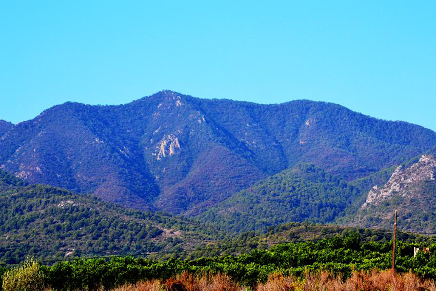 Puntal d’Artana i zona on es va dirigir l’atac per a la seva ocupació