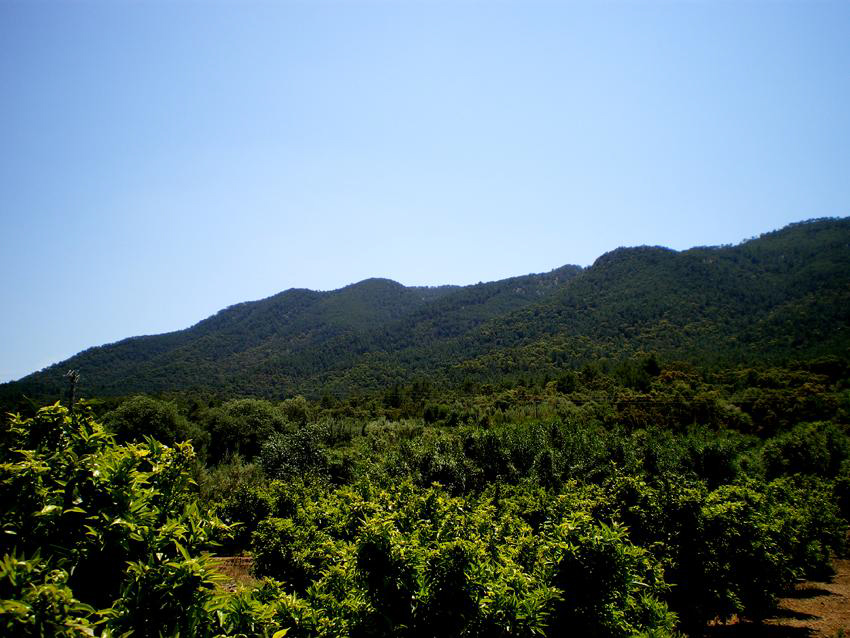 Vista parcial de l’Ombria d’Artana