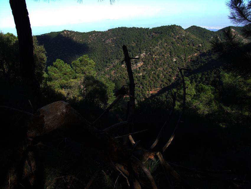 Front nacional de la Serra Espadà, termes Artana i Eslida vista des de les posicions republicanes del terme de Xova. (Foto Ramon Saborit)