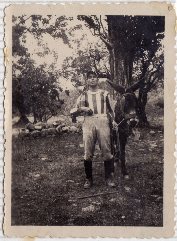 Pareix que és el Xato el que ha guanyat la carrera i s'ha emportat la copa.
