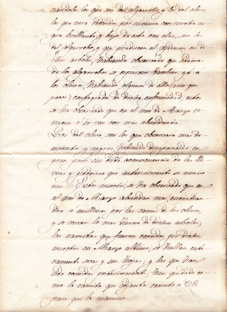 Informe1862-3