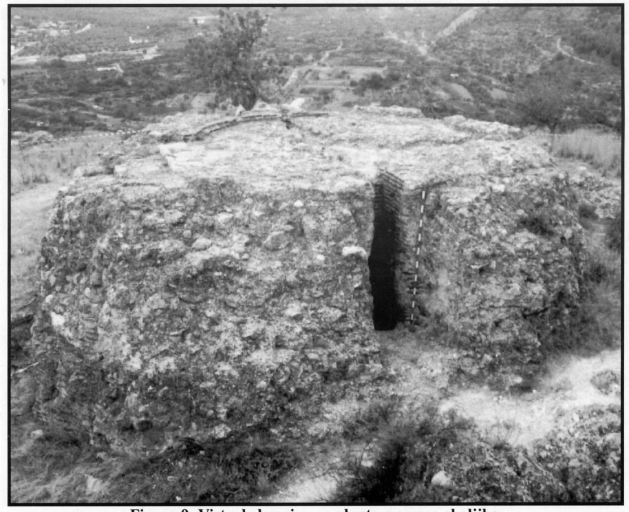 Fig. 9. Torre "mestra" o "major"