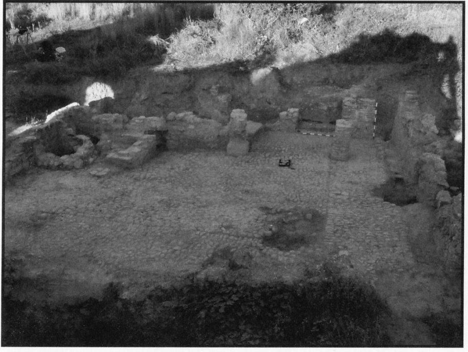 Fig. 19. Imagen del patio