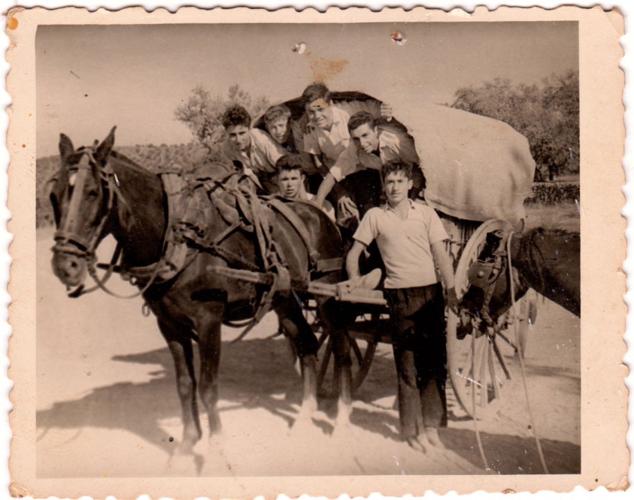Foto datada l'un d'agost de 1957. Pareix que els xiquets estiguen de festa. Reconeixem, baix a la dreta, aguantant un matxet, a Bastero; dalt d'ell, a José Serreta, a l'esquerra d'este a José Seba, i baix a Miguel de Panxut.