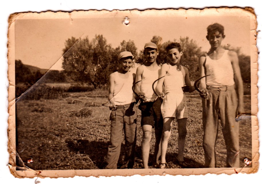 Les fotos se solen fer quan es va de festa, però de vegades també mostren a la gent treballant. En esta imatge, un grup de xiquets preadolescents que estan segant blat. D'esquerra a dreta són Vicente Vilara, un desconegut, Benjamín de Cabedo i, el més alt, Vicente Pla.