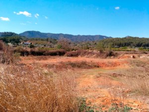 Clots de terra roja a la partida del Pinar