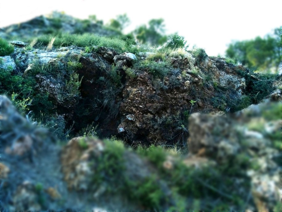 Clevills a la penya i afloraments de limonita