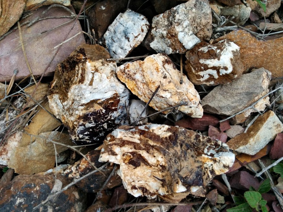 Cavitats de la mina de barita i mostres d’aquest mineral