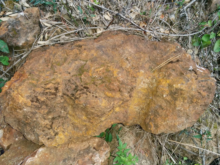 Limonita ferruginosa de la Mina de la Font del Ferro. En aquesta pedra es pot veure el forat de la barrina en la que van introduir la dinamita per explotar la roca