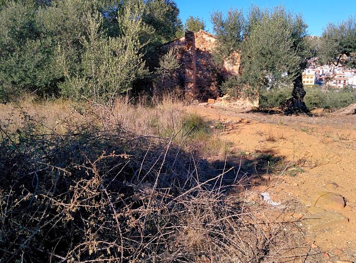 Era nº 19: Ubicació 39.886-0.258 (del Botecari). Recuperable, restes de pallisses.