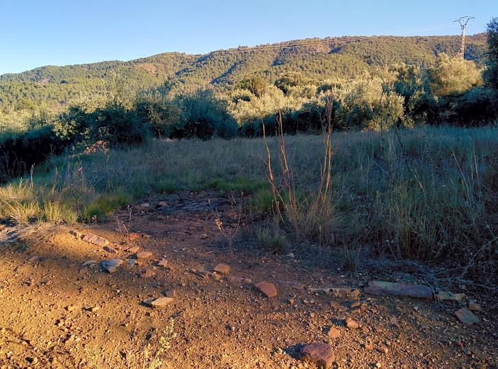 Era nº 20: Ubicació 39.886-0.259. Recuperable, restes de pallisses