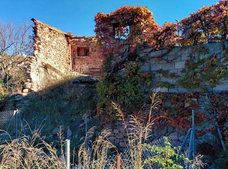 Era nº 25: Ubicació 39.891-0.261, al costat de l’anterior. (De les Pitarques). Irrecuperable, restes de pallisses