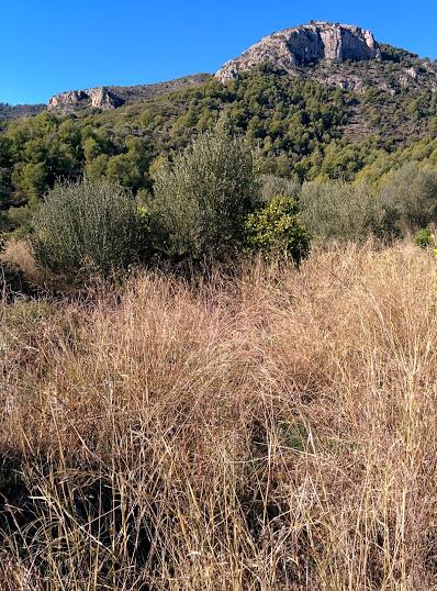 Era 26; Ubicació 39.886, -0.223, (d’Aigües Vives)