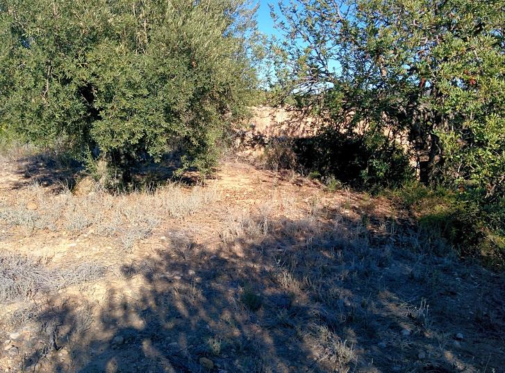 Era 27; Ubicació 39.878, -0.217, (De Paioni)