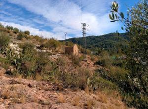 Pallissa de l’era anterior