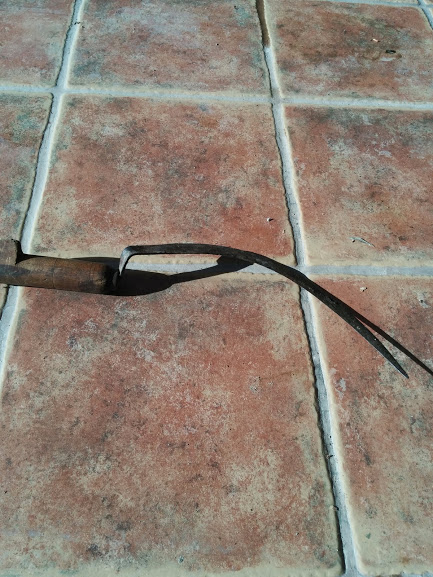 Fig. 8. Corbella de segar alfals, dentada. Sovint també s’usaven per segar blat