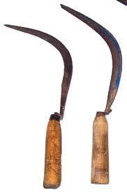 Fig. 6. Diferència de corbella de segar alfals i segar blat