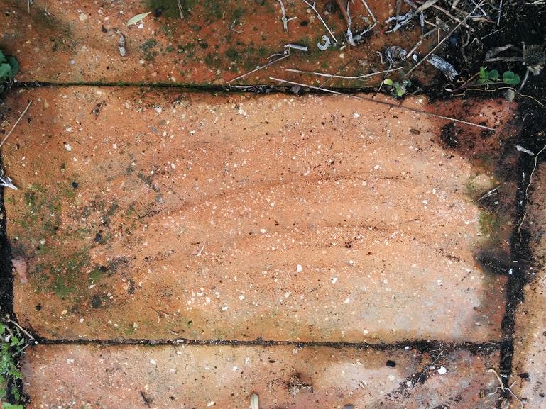 Fig. 20. Una mostra de les rajoles utilitzades a les eres