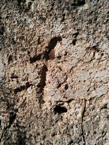 Una posible "marca de Federo" al Castell d'Artana