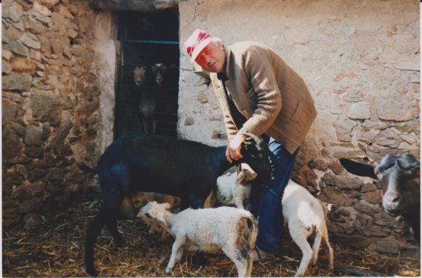 Domingo en el corral de Federico de la Masaeta començant el retorn a Valdelinares