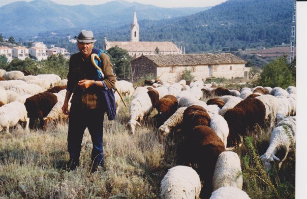 Pas pel Carme d’Onda