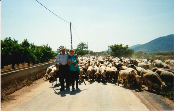 Continuació del viatge transhumant pels voltants d’Onda