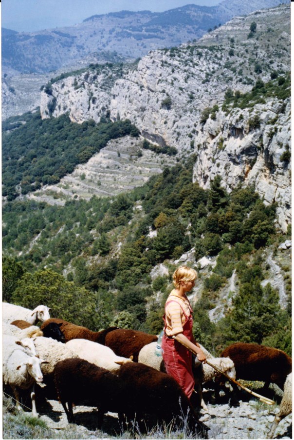 Senyora finlandesa ajudant a Domingo en el viatge de transhumància pels voltants de Penyagolosa