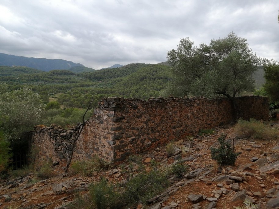 30 colmenar MasaetaW