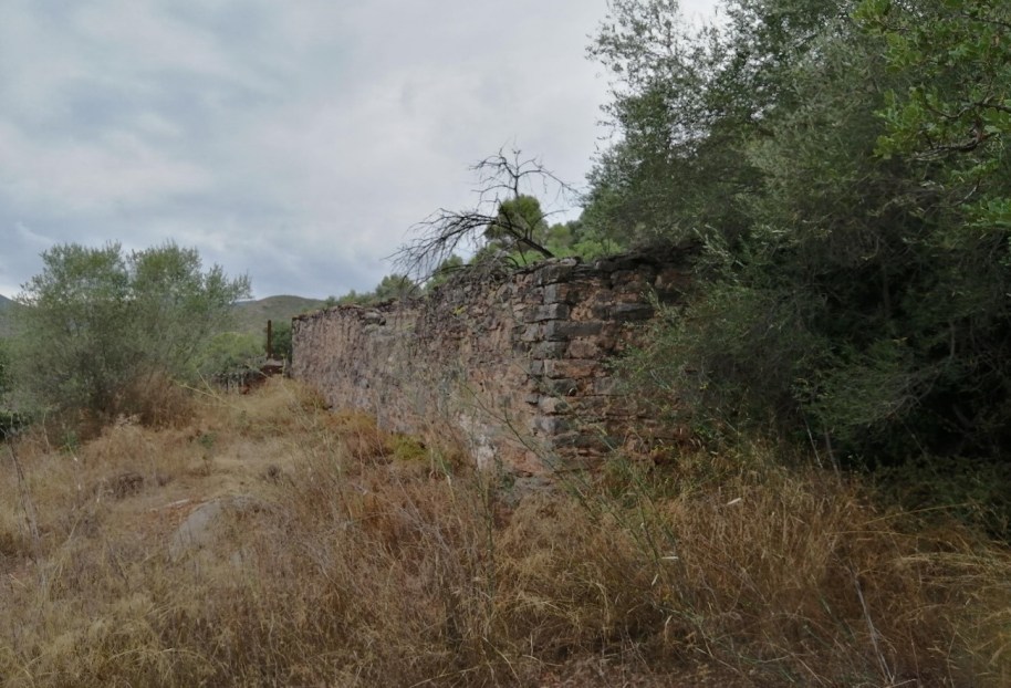 31 colmenar MasaetaW