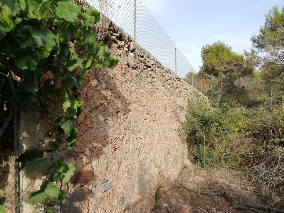 37 colmenar MasaetaC