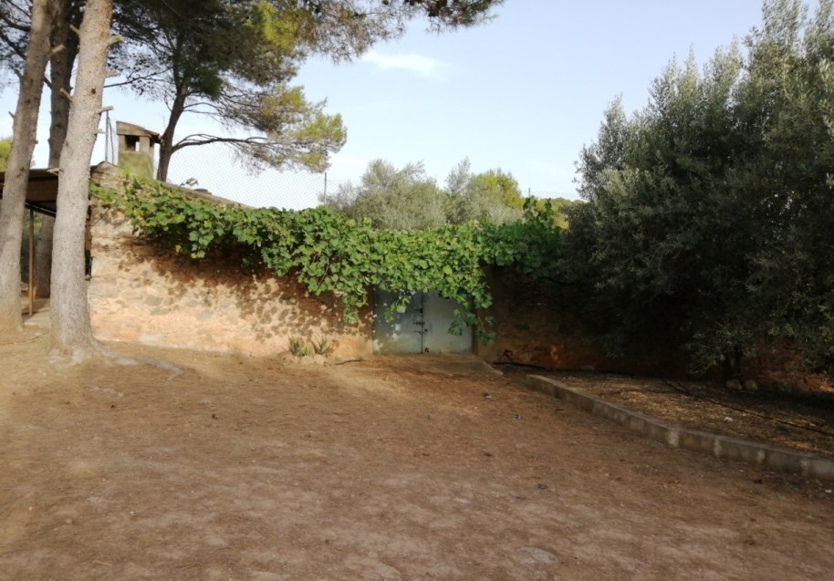 38 colmenar MasaetaC