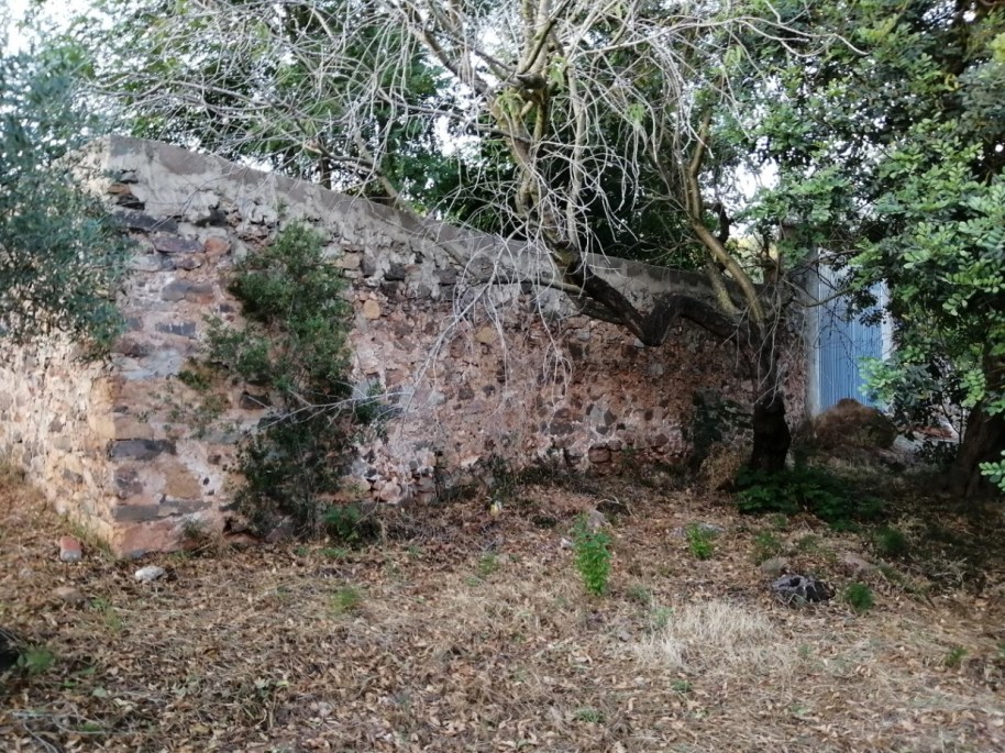 40 colmenar MasaetaE