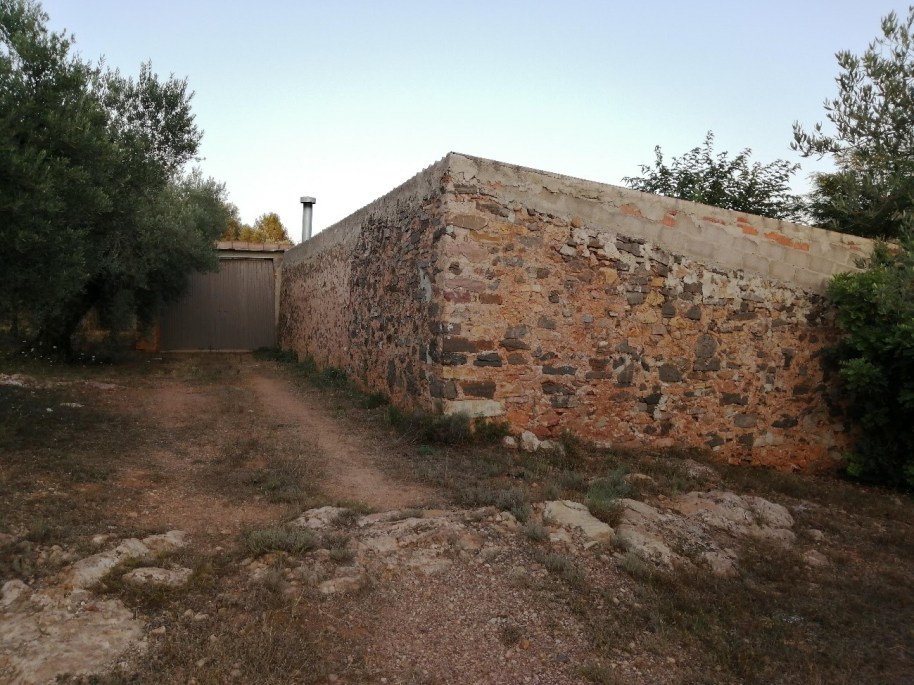 41 colmenar MasaetaE