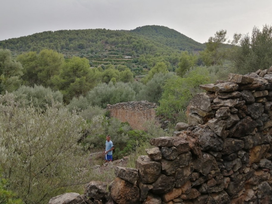 52 colmenar Barranc de Nules