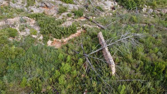 Colmenar de la Solana Panolla 1