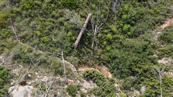 Colmenar de la Solana Panolla 3