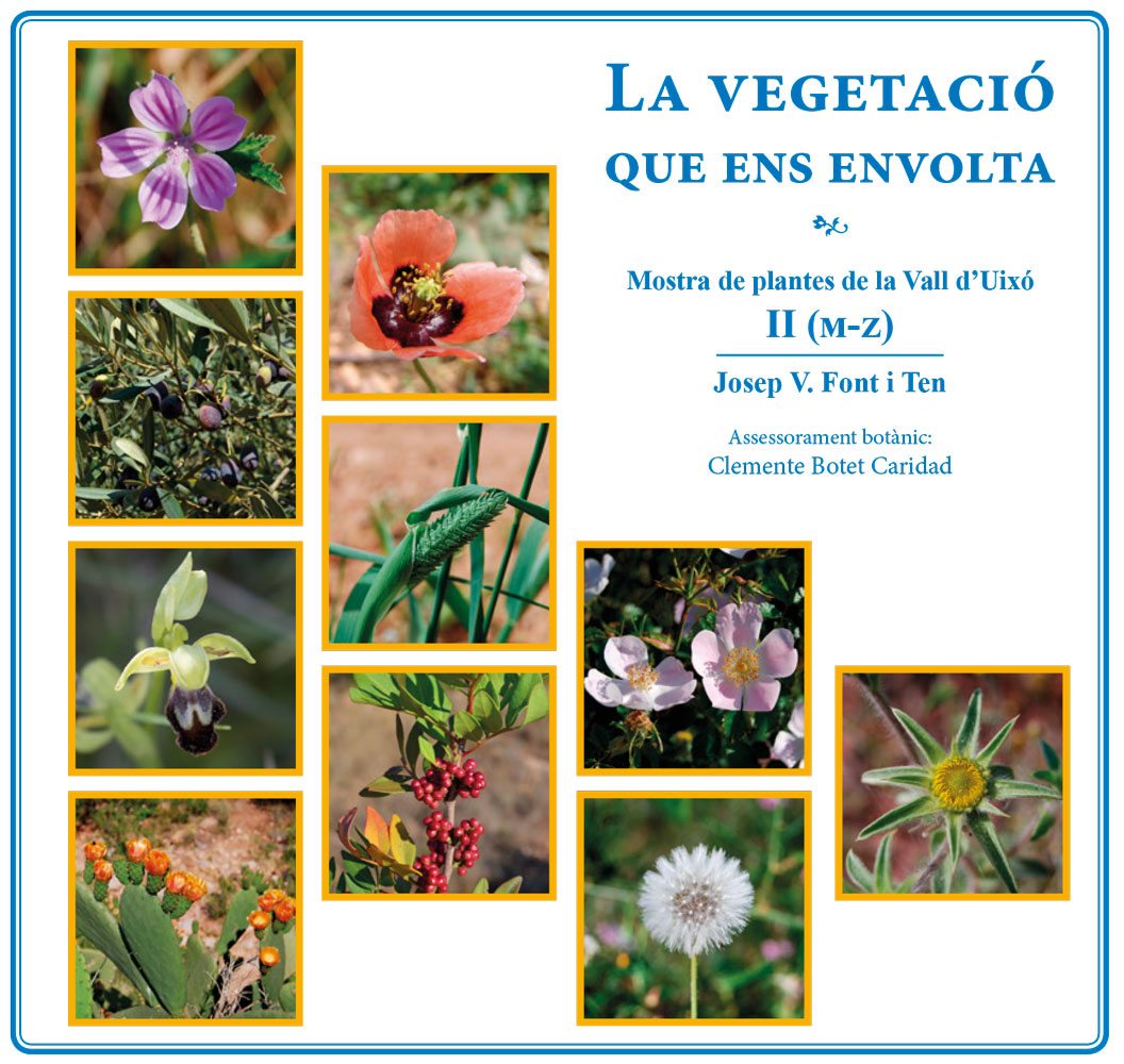 Llibre-plantes-volum-II-1