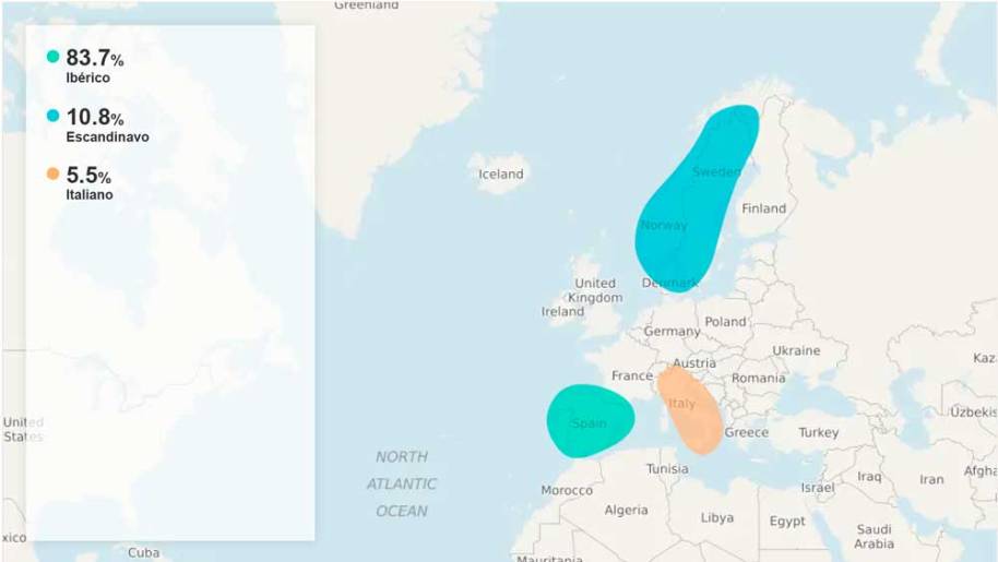 Estimación-Étnica---WEB